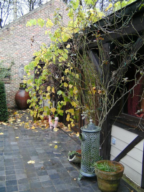 B&B Arte Berlare Rum bild